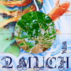 龍宮城／2 MUCH（完全生産限定盤／CD）