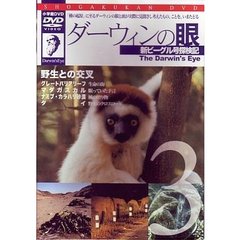 The Darwin's Eye～新ビーグル号探検記 3（ＤＶＤ）