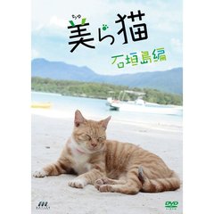 美ら猫 石垣島編（ＤＶＤ）