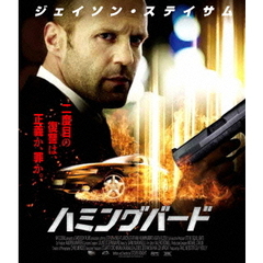 ハミングバード（Ｂｌｕ－ｒａｙ）