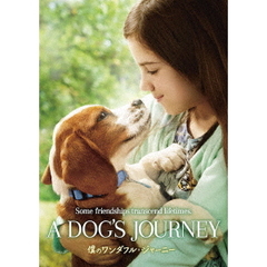 僕のワンダフル・ジャーニー（ＤＶＤ）