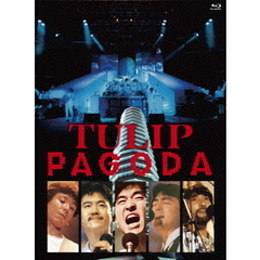チューリップ／PAGODA ～TULIP LAND IN ASHINOKO 1984.8.11（Ｂｌｕ－ｒａｙ）