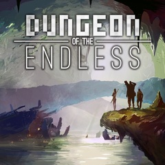 Nintendo Switch ダンジョン オブ ジ エンドレス（Dungeon of the ENDLESS?）