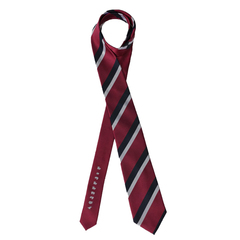 土佐兄弟コラボネクタイ＜社会人応援＞シルクブレンドストライプネクタイ/ワイン/「ショウシンカクテイ」