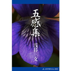 五感集