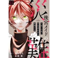後宮メイドの災難～人使いの荒い宮廷書記官と推理する～(11)