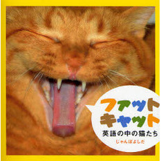 ファットキャット　英語の中の猫たち