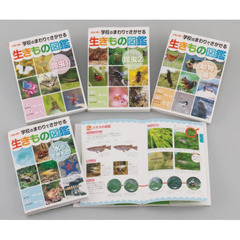 学校のまわりでさがせる生きもの図鑑　ハンディ版　４巻セット