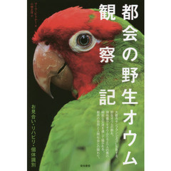 都会の野生オウム観察記　お見合い・リハビリ・個体識別