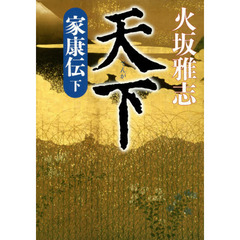 天下　家康伝　下