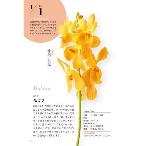 366日の美しい誕生花 1日1花のエピソードと花言葉 通販｜セブン