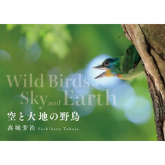 空と大地の野鳥