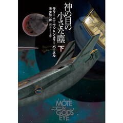 神の目の小さな塵　下　新版
