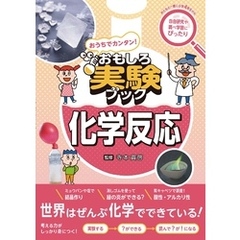 おうちでカンタン！おもしろ実験ブック 化学反応