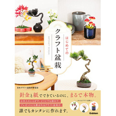 はじめてのクラフト盆栽