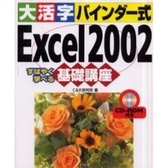 大活字バインダー式Ｅｘｃｅｌ２００２基礎講座　すばやく学べる