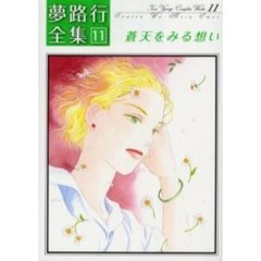 蒼天をみる想い　夢路行全集　　１１
