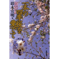 一本の四季桜を愛でて