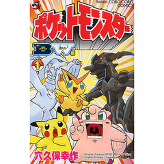 ポケットモンスターＢ・Ｗ（ブラック・ホワイト）編　１