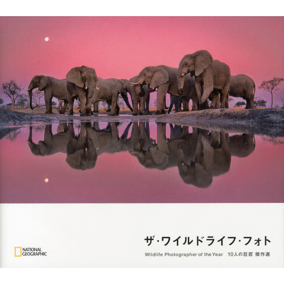 ֥ͥåȥåԥ󥰤㤨֥磻ɥ饤աեȡפβǤʤ3,960ߤˤʤޤ