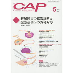 ＣＡＰ　３２３