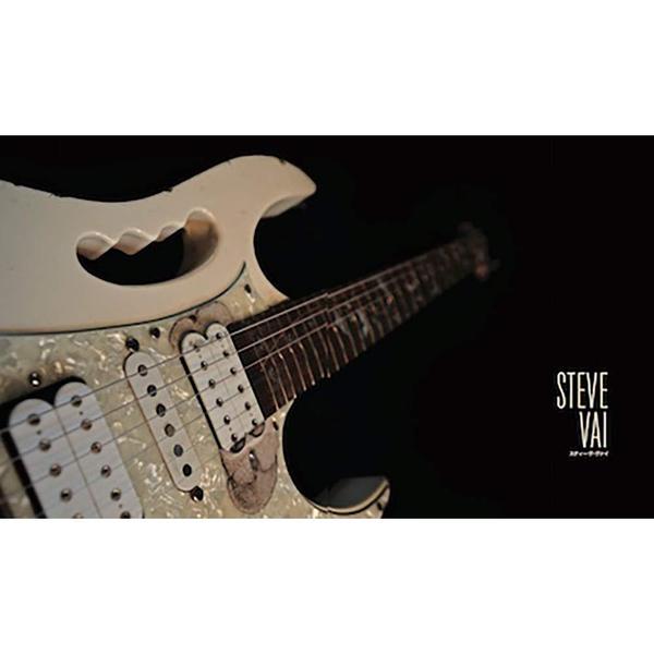 108 ROCK STAR GUITARS(108 ロック スター ギターズ) 伝説のギターをたずねて【完全限定生産品】 (Guitar  Magazine)