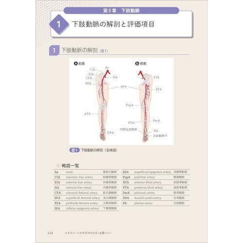 エキスパートの手元がみえる！血管エコー 解剖・正常像で身に