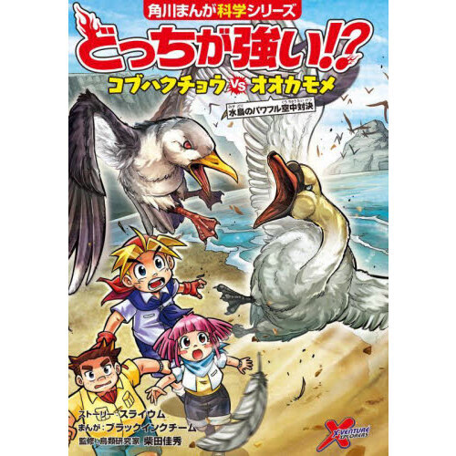 どっちが強い！？コブハクチョウＶＳ（たい）オオカモメ 水鳥の