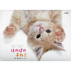 カレンダー　’２５　ほのぼの子ねこ