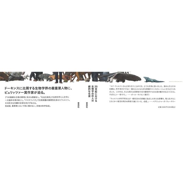 レーヴン/ジョンソン生物学『下』原書第7版 51BhMsihLDL.jpg