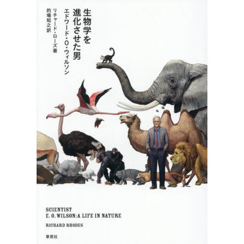 レーヴン/ジョンソン生物学『下』原書第7版 レーヴン/ジョンソン生物学 上 | P.レーヴン |本 | 通販 | Amazon