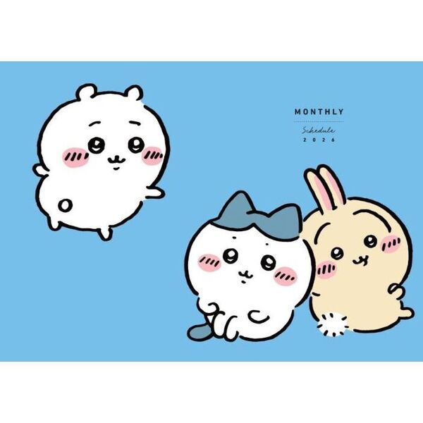 ちいかわ　まとめ売り22点 ちいかわ まとめ売り 22点 ちいかわ 22点 グッズまとめ売り