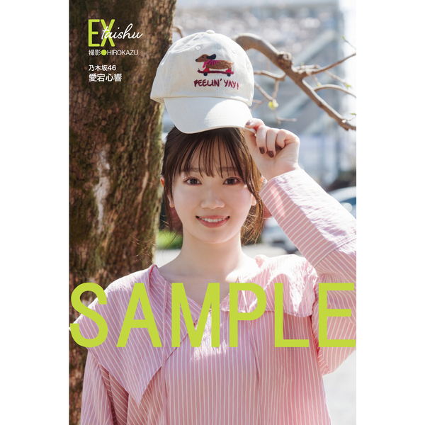 乃木坂46 2026年福袋A B C 19点　愛宕心響 EX大衆 2026年5・6月号【セブンネット限定特典：愛宕心響（乃木坂46