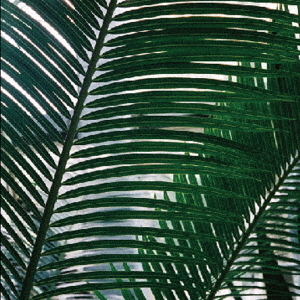 ֥ͥåȥåԥ󥰤㤨PortionפβǤʤ2,200ߤˤʤޤ