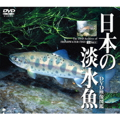 日本の淡水魚 映像図鑑（ＤＶＤ）