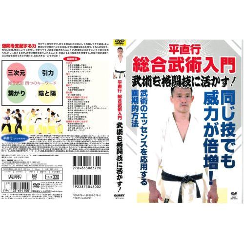 平直行 総合武術入門 武術を格闘技に活かす！（ＤＶＤ）