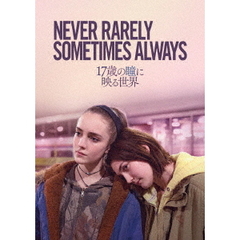 17歳の瞳に映る世界（ＤＶＤ）