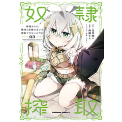 奴隷からの期待と評価のせいで搾取できないのだが　（３）
