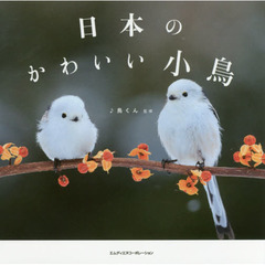 日本のかわいい小鳥