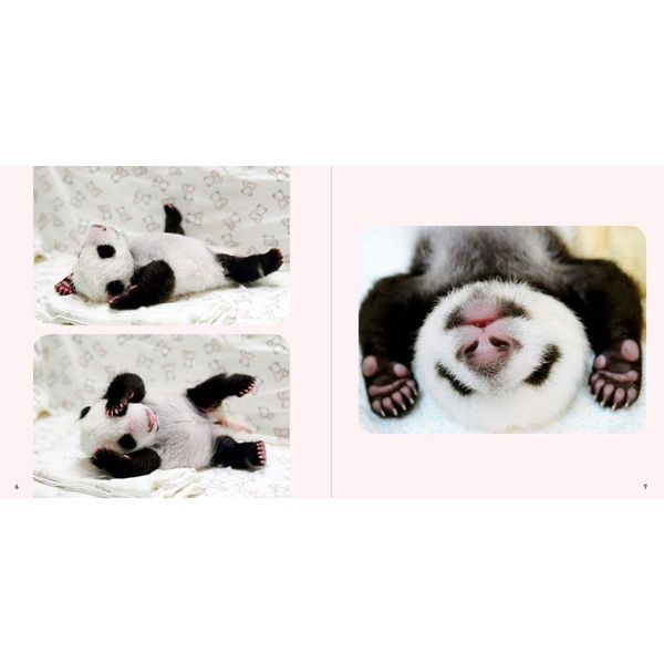 あかパンダページ ベビー パンダ あかパン | パイ インターナショナル |本 | 通販