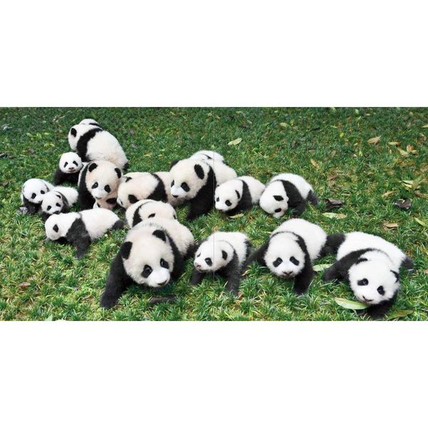 Ｂａｂｙ Ｐａｎｄａあかパン 通販｜セブンネットショッピング