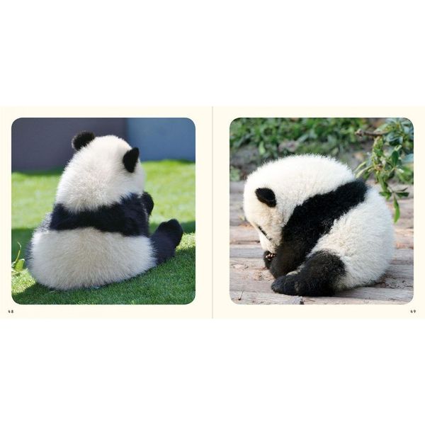Baby Panda あかパン