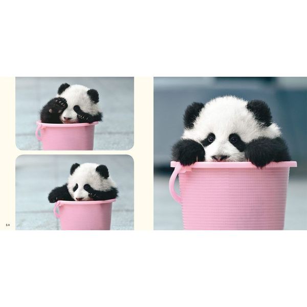 Baby Pandaあかパン 通販｜セブンネットショッピング