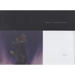 Ｒｅｍａｉｎｓ