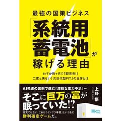 最強の国策ビジネス「系統用蓄電池」が稼げる理由　わずか数ヶ月で「即完売！」二度と来ない「次世代型ＦＩＴ」の正体とは
