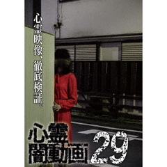 心霊闇動画 29（ＤＶＤ）