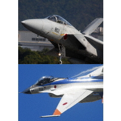 航空自衛隊 航空祭セレクション JASDF AIR SHOW 2016-2019（ＤＶＤ）