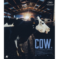 Cow／牛（Ｂｌｕ－ｒａｙ　Ｄｉｓｃ）