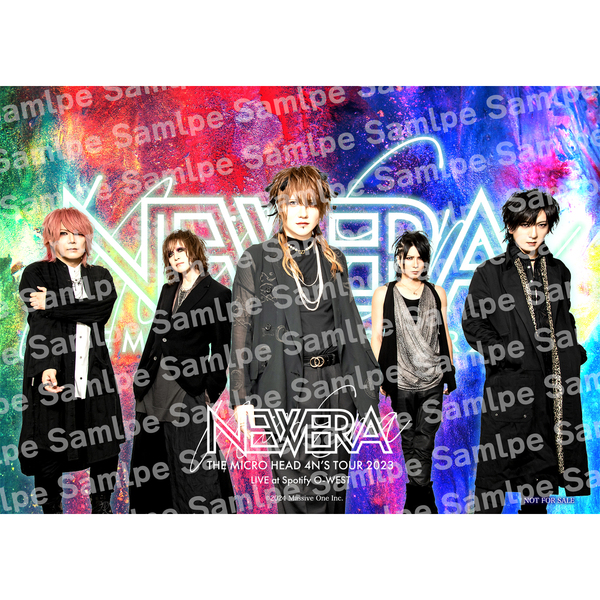 THE MICRO HEAD 4N'S ライブDVD THE MICRO HEAD 4N'S / DVD /THE MICRO HEAD 4N'S Tour 2023