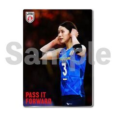 【バレーボール女子日本代表】メタルディスプレイ  セルビア戦 01